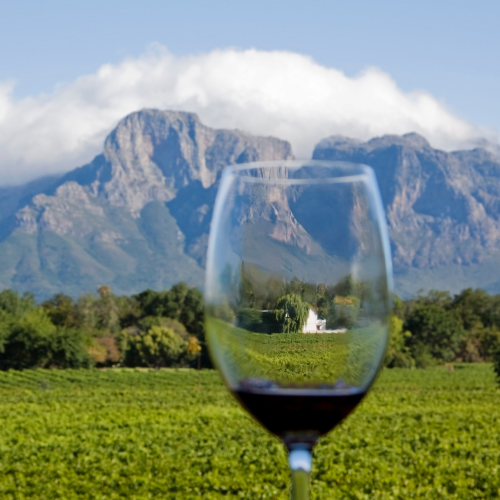 Wines from South America - Wine Tasting