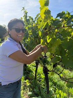 The Tinwood Harvest Experience